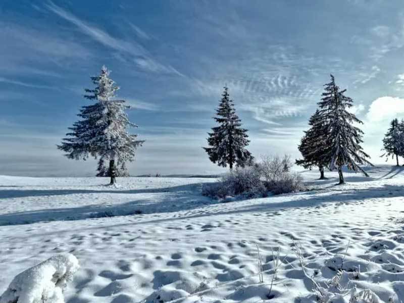 发新型传感器应用领域广泛AG真人平台科技